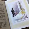[USED] Western books, old picture books, THE WATER-BABIES, children's books