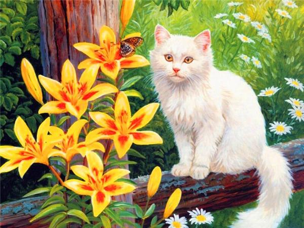 Diamant-Malerei, Katze, Kreuzstich-Set, Diamant-Stickerei, Tier, voller Bohrer, quadratisches Mosaik, Blume, Strass, Wohnkultur