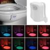 8-Color LED Motion Sensing Automatic Toilet Bowl Night Light KTY
