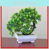 Simulated Flower Arrangement With Mini Tree Decor For House Decoration And Gift