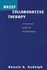 Bok Brief Collaborative Therapy : A Practical Guide for Practitioners