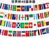 Soccer Team Flag Bunting for Sports Bar and Party Decoration