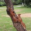 Resin Squirrel Hanging Ornament for Garden Decoration