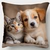 1pc, Short Plush Decorative Pillowcase, Cat Dog Puppy Kitten Pillowcase, Single-Sided Printing, Suitable for Sofa, Living Room, Bedroom, Office Home D