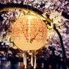 LED Solar Lantern Nylon Colth Solar Powered Cherry Blossom Lights Chinese Traditional Hanging Lanterns for Patio Garden Decor