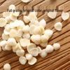 Yan Geng Tian Peeled Raw Sweet Southern Apricot Kernel Slices
