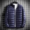 Men's Slim Fit Lightweight Hooded Down Cotton Jacket - Winter 2025 Edition