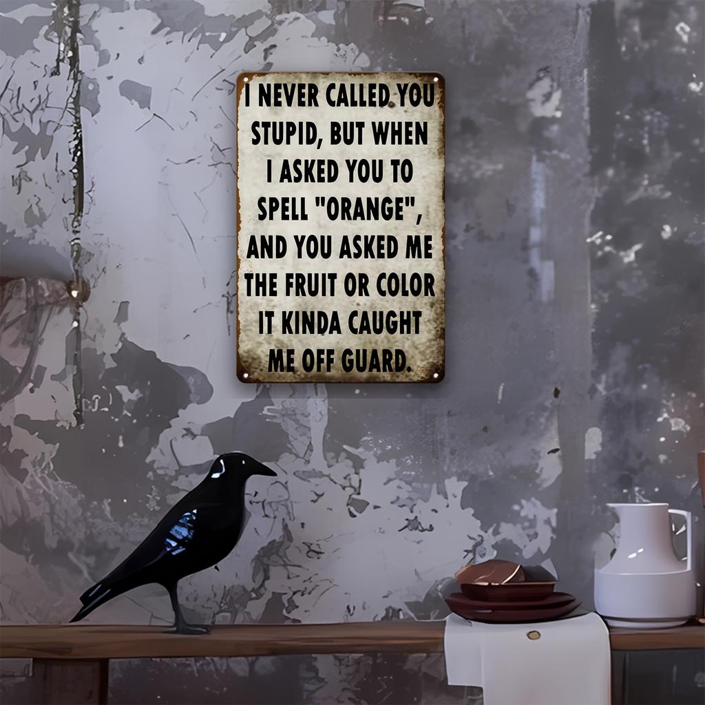 Vintage Metal Sign I Never Called You Stupid Rustic Iron Wall Decor x Ideal for Home Bar Garage Man Cave