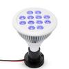 36W E27 LED Blue Light Grow Bulb for Indoor Succulents and Seedlings