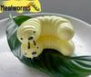 Persimmon Stress Relief Squeeze Toy - Slow Rebound Decompression
