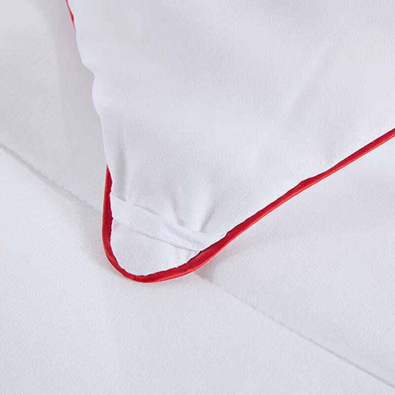 Mengjie Ultra-Soft Feather Velvet Thick Quilt