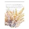 [mamawreath] Artificial Flowers, Dried Flowers, Pampas Grass, Pampas Bundle, 1 Bundle, Bouquet, Bush, Wall Hanging, Artificial Flower, Beige, Brown,