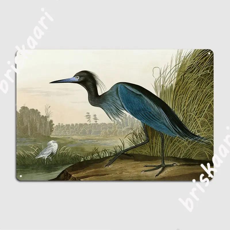Little Blue Heron John James Audubon S Birds Of America Metal Sign Retro Wall Decor Cinema Tin Sign Poster 20X30CM