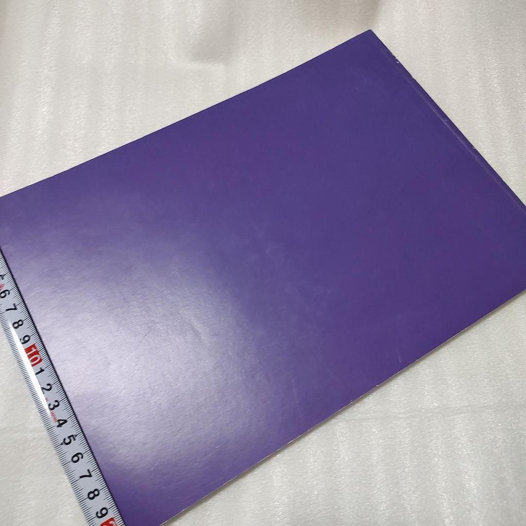 [USED] JOEL MEYEROWITZ "OUT OF THE ORDINARY