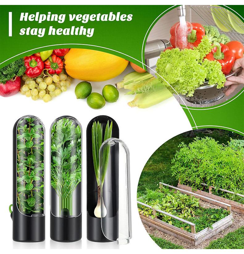 Vanilla Vegetable Fresh-keeping Box Pressure Resistant and Environmentally Friendly Fresh-keeping Device Creative Coriander Fresh-keeping Cup