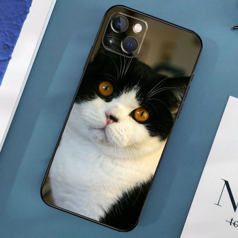 Etui z brytyjskim krótkowłosym kotem na iPhone'a 15 14 13 12 11 Pro Max XS X XR SE 2020 2022 7 8 Plus 12 13 Mini