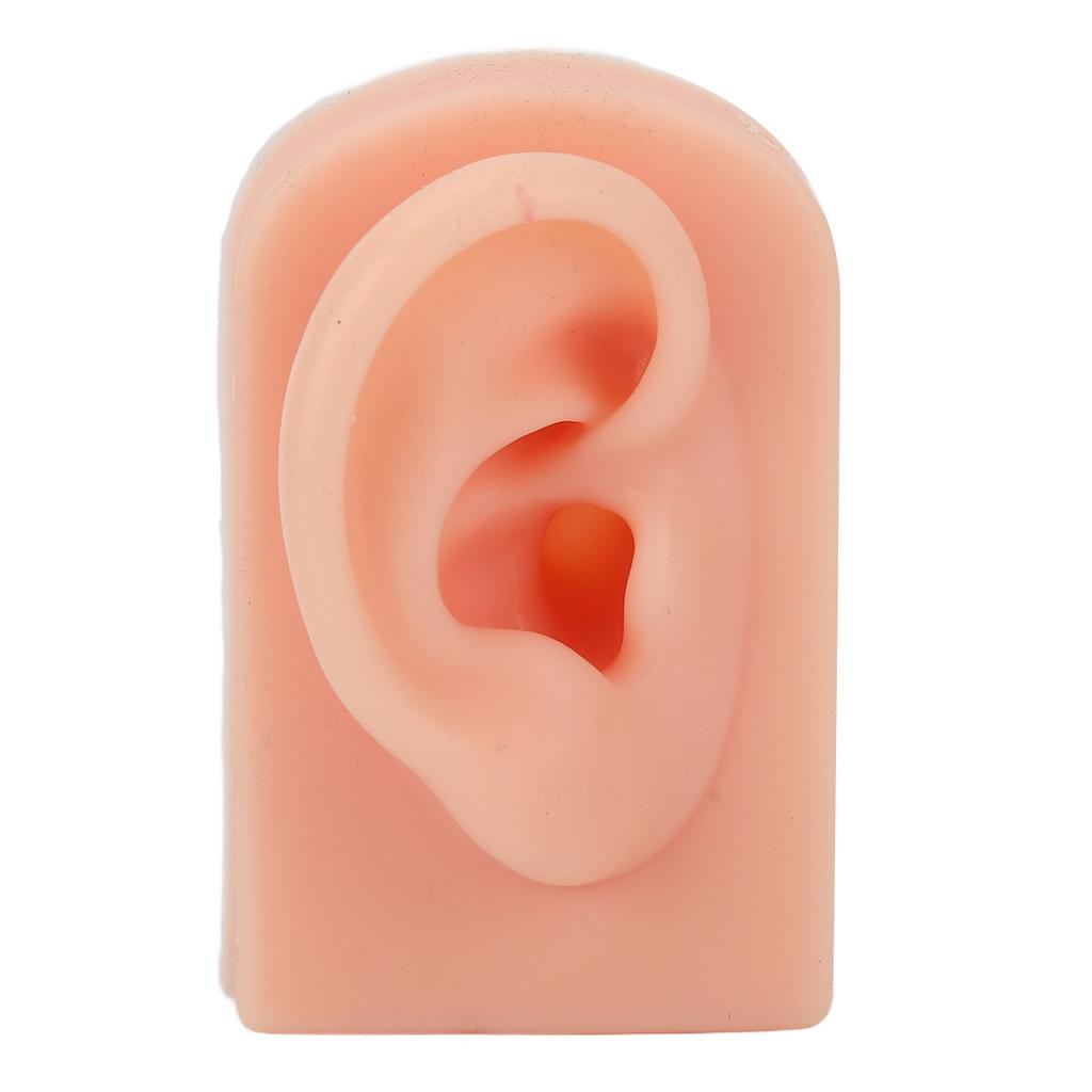 Silicone Ear Model Soft Flexible Right Ear Reusable Human Ear Model for Ear Piercing Training And Ea