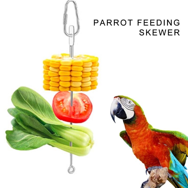 5 Pezzi Porta Cibo per Uccelli Spiedino Alimentatore Giocattolo per Pappagalli Montaggio per Gabbia per Uccelli di Piccole Dimensioni Porta Frutta e Snack Multifunzionale