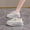 Mesh Breathable Little White Shoes Women's 2025 New Summer Super Fire Platform Canvas Shoes Student Versatile Casual Board Shoes