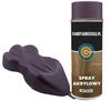 Accesorii pentru motociclete – Vopsele și spray-uri pentru motociclete