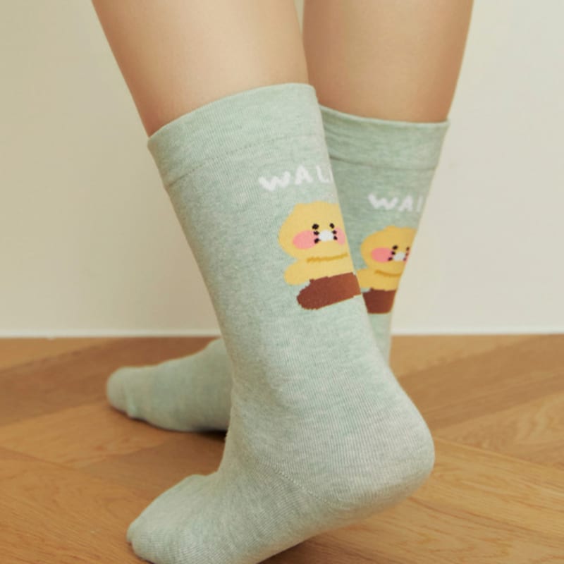 Kakao Friends Daily Socks Melange Mint_Chunshik