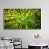 Moderní les Zelený strom Příroda Krajina Plakáty a obrazy Nástěnné malby na plátně Obraz do obývacího pokoje Cuadros Home Decor Bez rámu