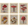 97 Decor Vintage Mushroom Poster - Mushroom Wall Decor, Retro Mushrooms Wall Art Prints, Cottagecore Room Decor Aesthetic, Earthy Dictionary