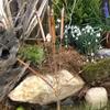 Aged Bronze Garden Stakes 12 Inches Tall Beautiful Outdoor Marker For Landscaping And Edging