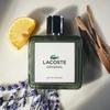 Eau de Parfum Lacoste Originale - 100 ml