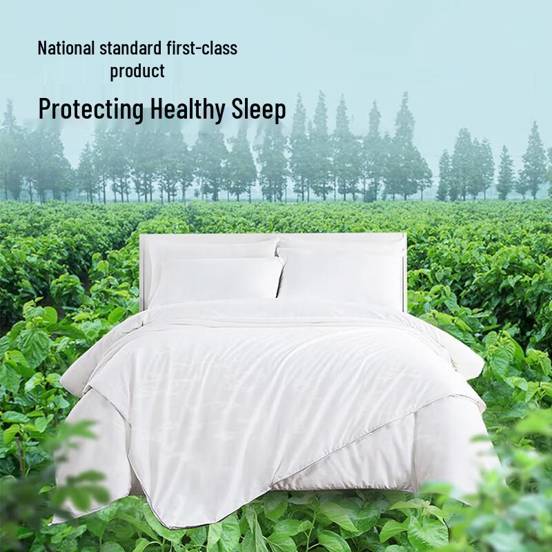 Jingdong Zhizao 100% Mulberry Silk Quilt