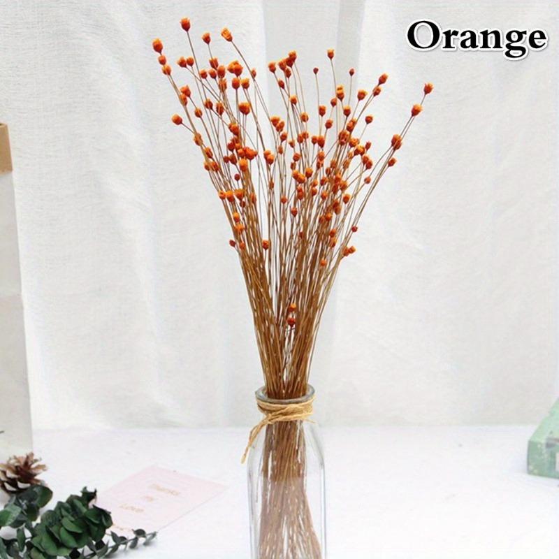 50 Stück/Strauß Brasilien Happy Flower Echte Blume Natur Echter Kleiner Trockenblumenstrauß