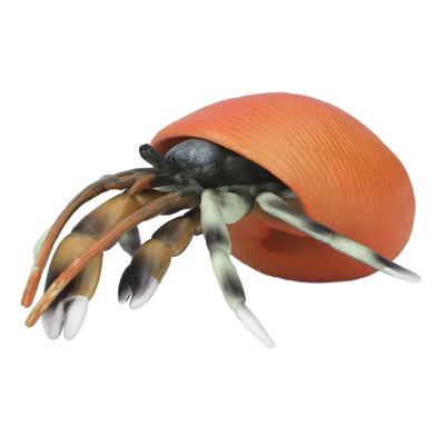 Simulare de crab pustnic Model realist de viață de mare Animale Figurine pentru colecție Știință Educațională