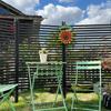 Outdoor Garden Courtyard Picket Fence & Climbing Frame