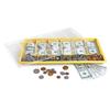 Learning Resources US Currency Bill and Coin Set Money Kit LER0106