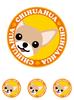 Staring Chihuahua Smooth Red & White Dog Sticker Orange Back