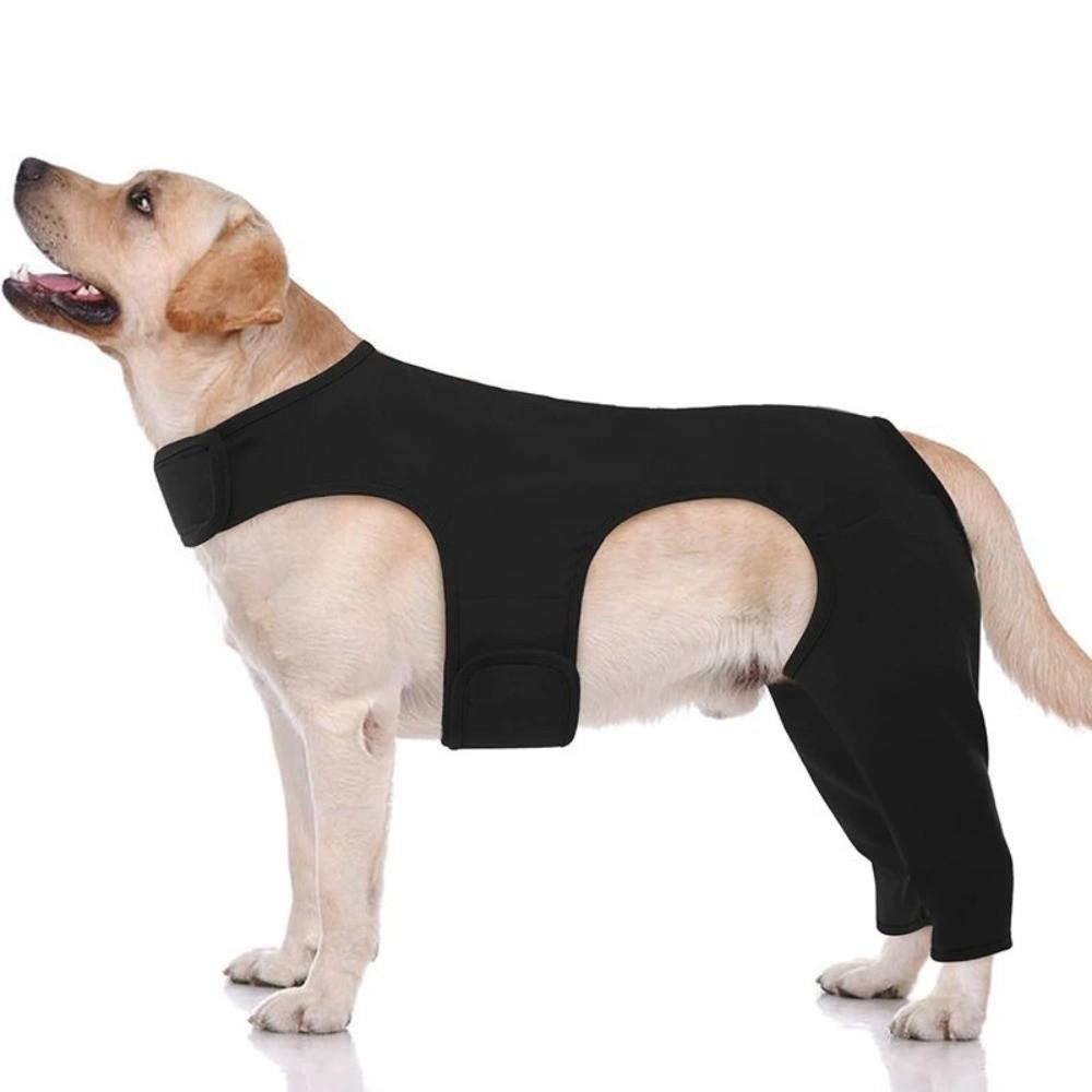 Adjustable Dog Leg Rehabilitation Suit Anti-Licking Comfortable Fit Dog Knee Brace Breathable Recoverable Sleeves