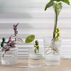 Plant Stand Hydroponic Plants Pothos Ivy Lucky Bamboo Succulents Cartoon Holder with Clamp Design Indoor Garden Decor