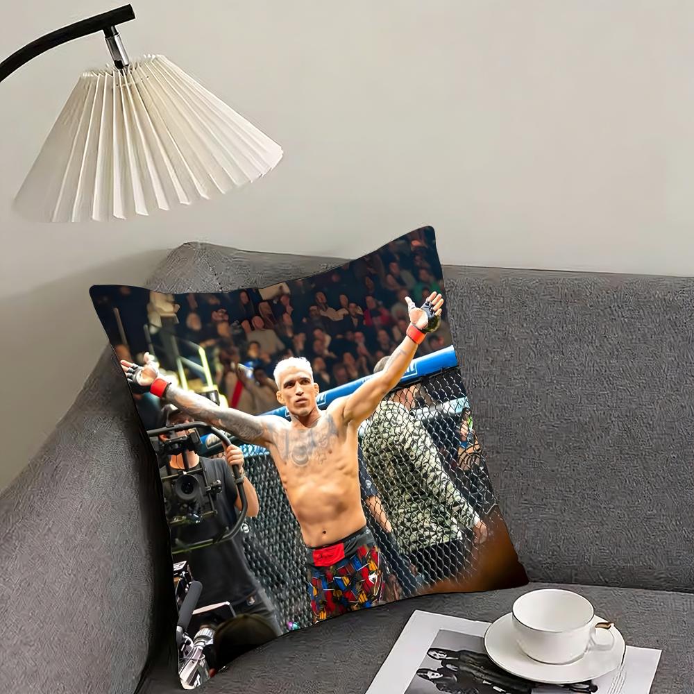 

CCharles OliveiraA Boxer Cushion Cover Pillowcase Ultra Soft Skin Friendly Fabric Cloud Like Comfort Concealed Zipper 30x30cm