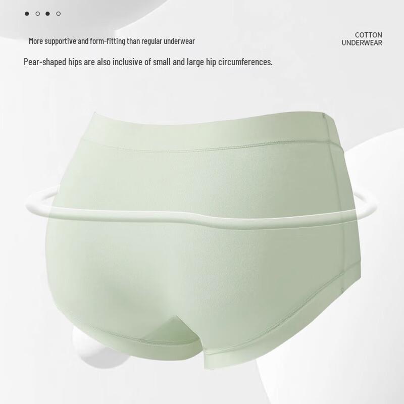 LangSha Women's Seamless High-Waist Underwear 4-Pack