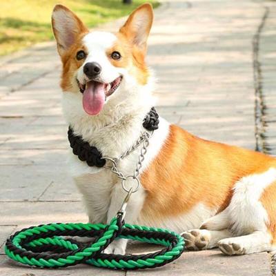 Twist Rope Large Dog Leash + Lead (Green + Black)