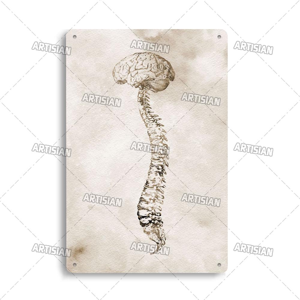 Placca Metallica Artigianale Clinica Dentista Cartello in Latta Anatomia Piatto Decorativo Medico Ospedale Chirurgia Dente Organo Ossa Nervo Cervello