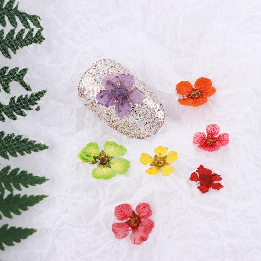 Floral Leaf 3D Nail Art Decorations Manicure Accessories Nail Art Dried Flower DIY Nail Decals