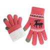Fleece Lining Winter Gloves Thickened Knitted Gloves Fashion Warm Gloves  Women Men