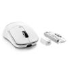 ATTACK SHARK X MAMBASNAKE R6 39g Super Light Gaming 8000Hz Polling PAW3950MAX Nordic52840 8K 42000 Japanese Compatible with Mac Mac Linux Mouse, Rate,