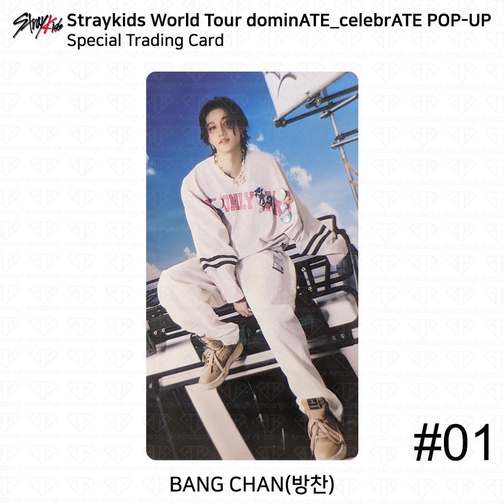

Stray Kids Мировой тур DominATE CelebrATE POP-UP Специальная торговая карта KPOP K-POP Bangchan #1