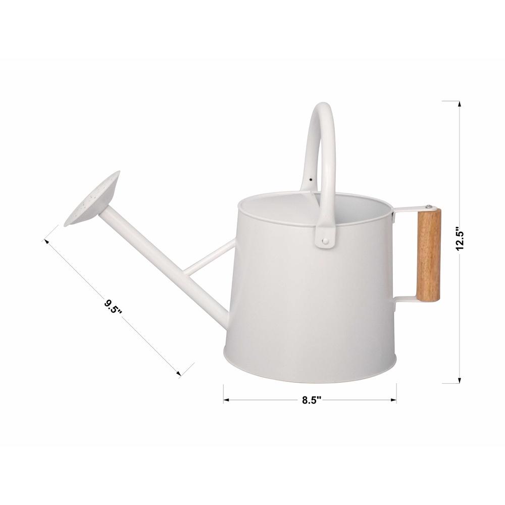 Durable Metal Watering Can Ergonomic Handle Precision Spout Efficient Watering Indoor Outdoor Garden Plant Care 1.5 Gal