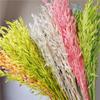 Oat Country Pastoral Home Decor: Dried Flowers & Grass Photography Props