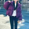 2026 Winter Women's White Duck Down Coat Korean Style Long Sleeve Cropped Down Clothing Wholesale For Women's Fashion