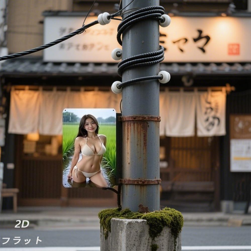 Vintage Japanese Bikini Metal Sign - 8x12 Inch Glossy Wall Decor for Home Cafe - Adhesive/Screw Hanging Minimalist Retro Female