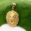 HIP Hop Lion Head Pendant Necklaces Men's Gold Color Punk Animal Jewelry